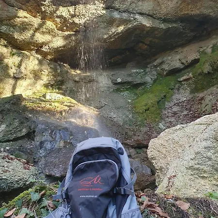 Hotel Restaurant Mohren 4*