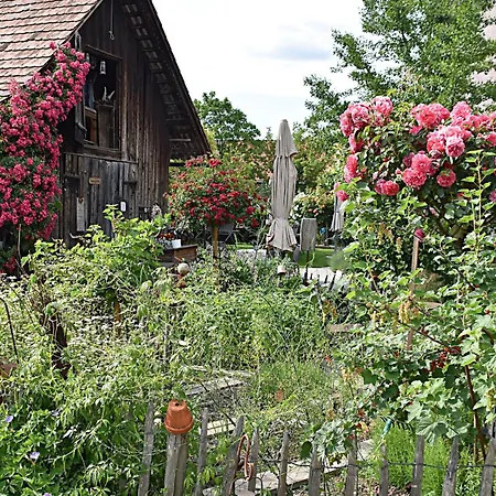 Otel Restaurant Mohren Rankweil