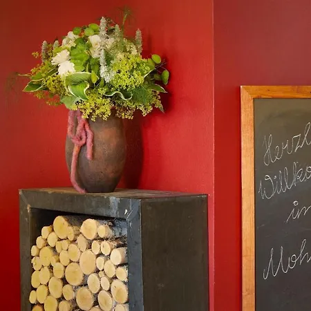 Hotel Restaurant Mohren 4*