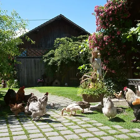 Restaurant Mohren Hotel