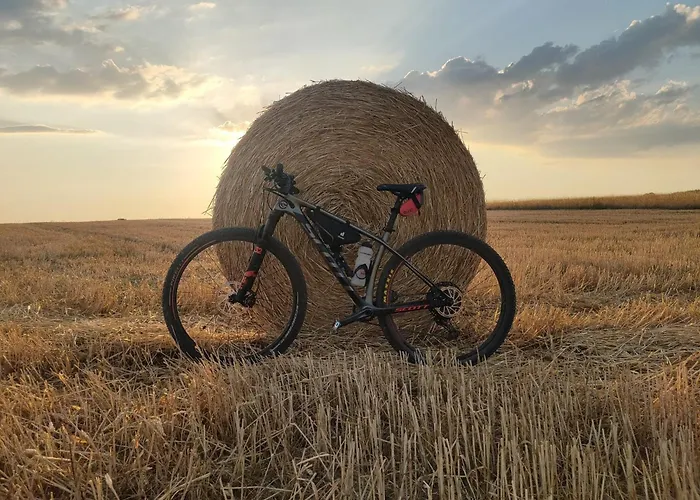 Restaurant Mohren 4*