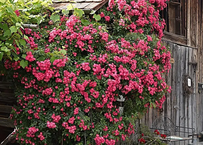 Restaurant Mohren Hotel