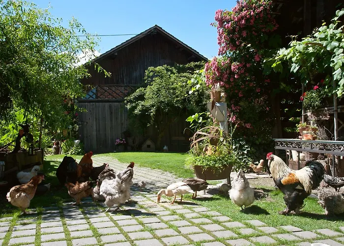 Restaurant Mohren Otel