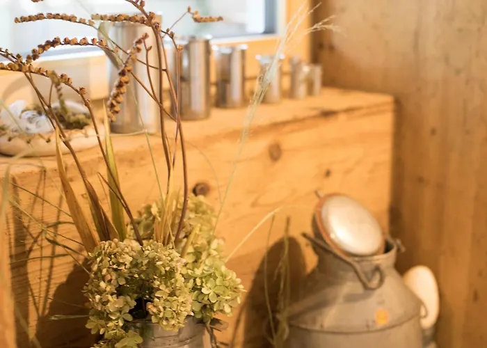 Otel Restaurant Mohren Rankweil